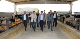 Şanlıurfa Valisi Gıda ve Besi OSB'leri Ziyaret Etti