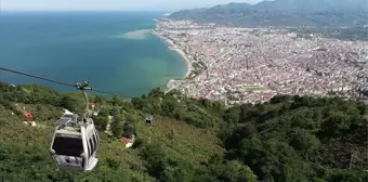 Ordu hangi bölgede, ilçeleri neler? Ordu plaka kodu nedir? Ordu meşhur özellikleri neler?