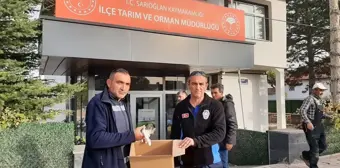 Sarıoğlan'da kırık ayağı bulunan kedi yavrusu tedavi edildi