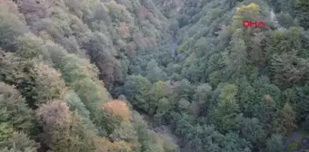 Trabzon'da Sonbahar Renkleri Dron ile Görüntülendi