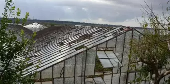 Antalya'nın Serik ilçesinde dolu nedeniyle cam sera ve ürünlerde zarar oluştu