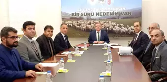 Kars'ta Küçükbaş Hayvancılık Projesi Uzatıldı