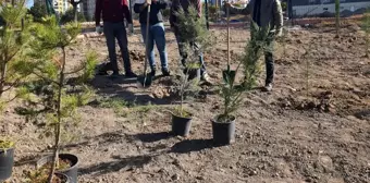 Erkilet Mehmet Karabacak Stadı'nda Gençlik ve Spor İl Müdürlüğü çalışanlarından övgü dolu çalışmalar