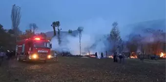 Tokat'ta Ahır Yangınında 50 Koyun Öldü