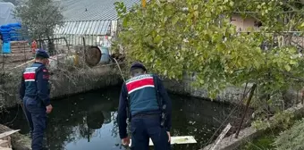 Muğla'da Alzheimer hastası kadın evinden 3 kilometre uzaklıkta ölü bulundu