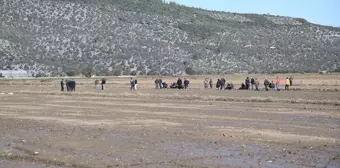 Muğla'da tarlada ölü bulunan kişi