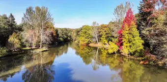 Sarıyer'deki Atatürk Arboretumu Sonbaharın Renkleriyle Ziyaretçilerini Ağırlıyor