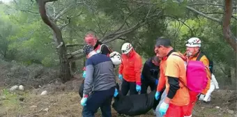 Muğla'da bir süredir kendisinden haber alınamayan adam yaşadığı barakanın yakınında ölü bulundu