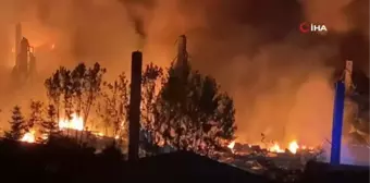 Gebze'deki Kimyasal Depoda Yangın Çıktı