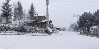 Ordu'nun Çambaşı Yaylası karla kaplandı