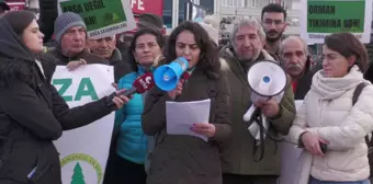 İstanbul Doğa Savunmaları: 'Yönetenlerin Görevi Ülke Ormanlarını Yağma ve Talana Açmak Değil Korumak ve Gelecek Kuşaklara Aktarmak Olmalıdır'