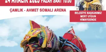 Bayramiç Belediyesi Geleneksel Deve Güreşi Festivali'ne ev sahipliği yapacak