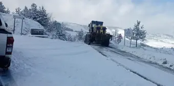 Samsun'da kar yağışı nedeniyle kapanan 42 mahalle yolu ulaşıma açıldı