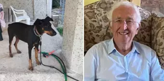 Korhan Berzeg 200 gündür kayıp! Soruşturmada dikkat çeken aile ve köpek detayı