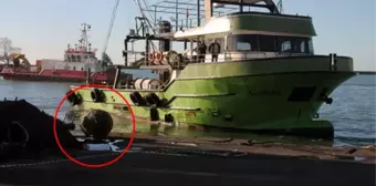 Zonguldak'ın Karadeniz Ereğli ilçesinde deniz mayını bulundu