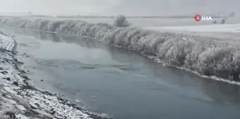 Yüksekova'da ağaçlar kırağı tuttu