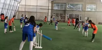 Mor Menekşeler Kız Futbol Takımı, Krikette de Başarılı