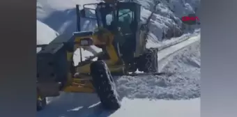 Diyarbakır Kulp'ta Karla Kapanan 5 Mahallenin Yolu Açıldı