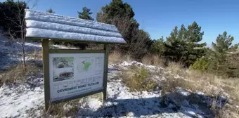 Yozgat Çamlığı'ndaki Kar Kuyuları Turizme Kazandırılacak