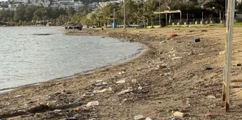 Bodrum'da Yağış Sonrası Sahilde Çöp Birikti