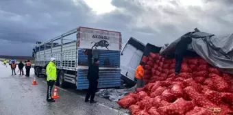 Yozgat'ta Kuru Soğan Yüklü Tır Devrildi