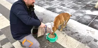 Çorlu Belediyesi Atık Gıdalardan Mama Üretimi Yapıyor