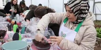 Diyarbakır Yenişehir Belediyesi'nden kadınlara teraryum eğitimi