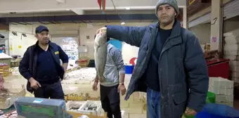 İzmir'de Ocak Ayının Balığı Levrek Tezgahlarda