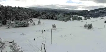 Kastamonu Araç Yayla Kış Festivali'nde Doğa ve Eğlence Bir Arada