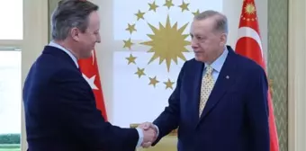 Cumhurbaşkanı Erdoğan, Birleşik Krallık Dışişleri Bakanı Cameron'u Kabul Etti