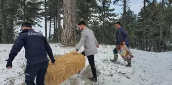 Demirci'de Kar Yağışının Ardından Yaban Hayvanlarına Yem Bırakıldı