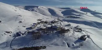 Van'ın Gürpınar ilçesindeki Geçerli köyü, Türkiye'nin önemli gen kaynaklarından Norduz koyununun neslini kurtardı