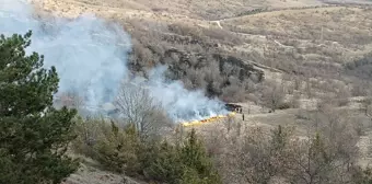 Karabük'ün Ovacık ilçesinde çıkan örtü yangını söndürüldü