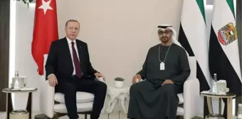 Cumhurbaşkanı Erdoğan, BAE Devlet Başkanı ile görüştü