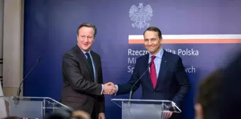 Cameron: Ukrayna'ya yardım paketi için ABD'yi ikna etmeliyiz