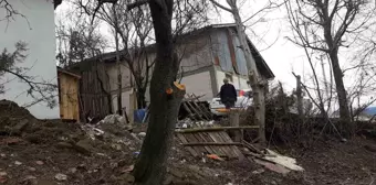 Bolu'da ağaç budama işinde kaza: Vatandaş yaralandı