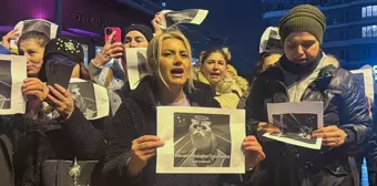 Başakşehir'de Kedinin Öldürülmesi Protesto Edildi