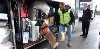 Muş'ta Yolcu Otobüslerinde Emniyet Kemeri Denetimi