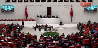 DEM Partisi Milletvekili Perihan Koca, AKP Milletvekili Fatma Öncü'ye el hareketi yaptı iddiası