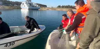 Şanlıurfa'da Hayalet Ağlar Temizleniyor