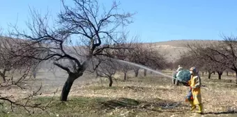 Malatya'da Kayısı Üreticileri Don Tehlikesine Karşı Uyarıldı