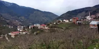 Referandum yapılan köy 34 yıl sonra Gümüşhane'den Giresun'a bağlandı