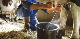 20 yaşındaki genç, inekleri sağmak isterken elektrik akımına kapılarak can verdi