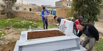 Mardin'deki Şehit Kabirleri Bakım ve Yenileme Çalışmasıyla Düzenlendi