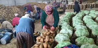 Afyonkarahisar'dan İstanbul, İzmir ve Ankara'ya patates sevkiyatı