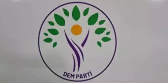 DEM Parti Diyarbakır Yenişehir Belediye Başkan adayı kim? DEM Parti Diyarbakır Yenişehir adayı Safiye Akdağ kimdir?