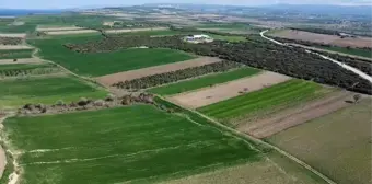 ÇOMÜ Öğretim Üyesi Prof. Dr. Murat Karataş, Çanakkale Savaşları'ndan Kalma Yeni Bir Şehitlik Alanı Tespit Etti