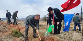 Konya'da Orman Haftası kutlamaları