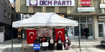 Muş'ta çocukları kaçırılan aileler DEM Parti il binası önünde oturma eylemi yapıyor