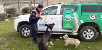 Edirne'de sahipsiz hayvanlara besleme ve bakım yapıldı